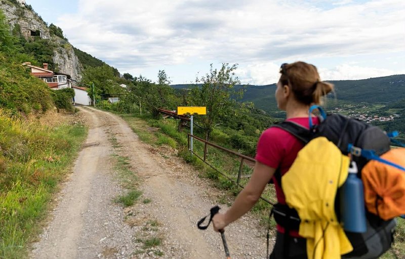 Slika članka