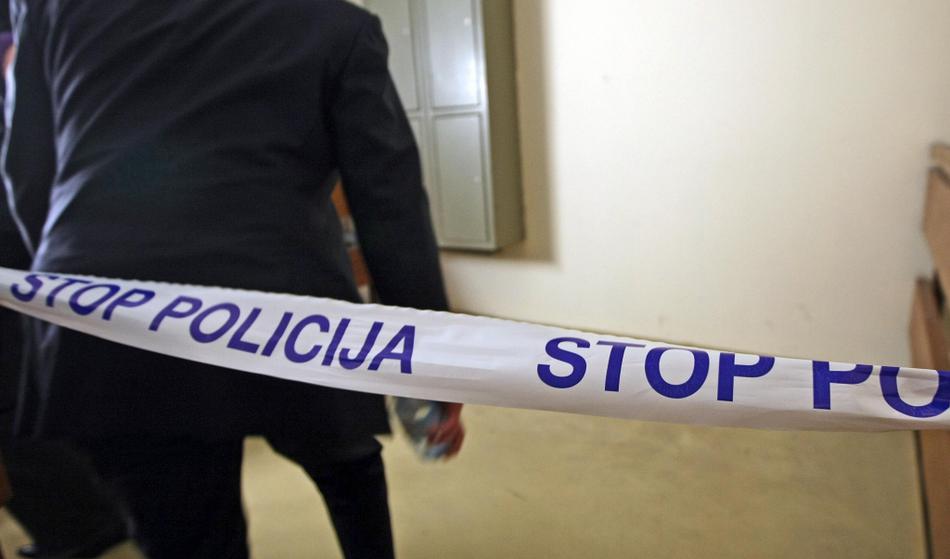 Slika članka
