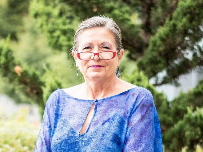 Slika članka
