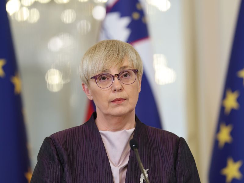 Slika članka