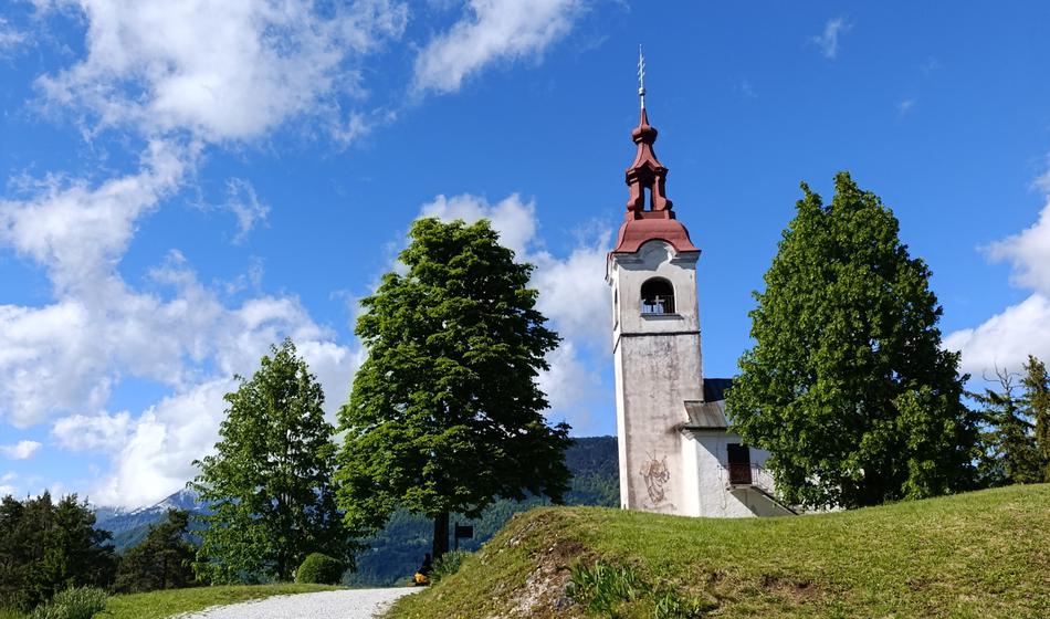 Slika članka