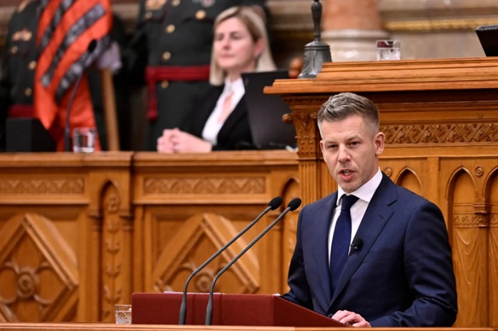 Slika članka