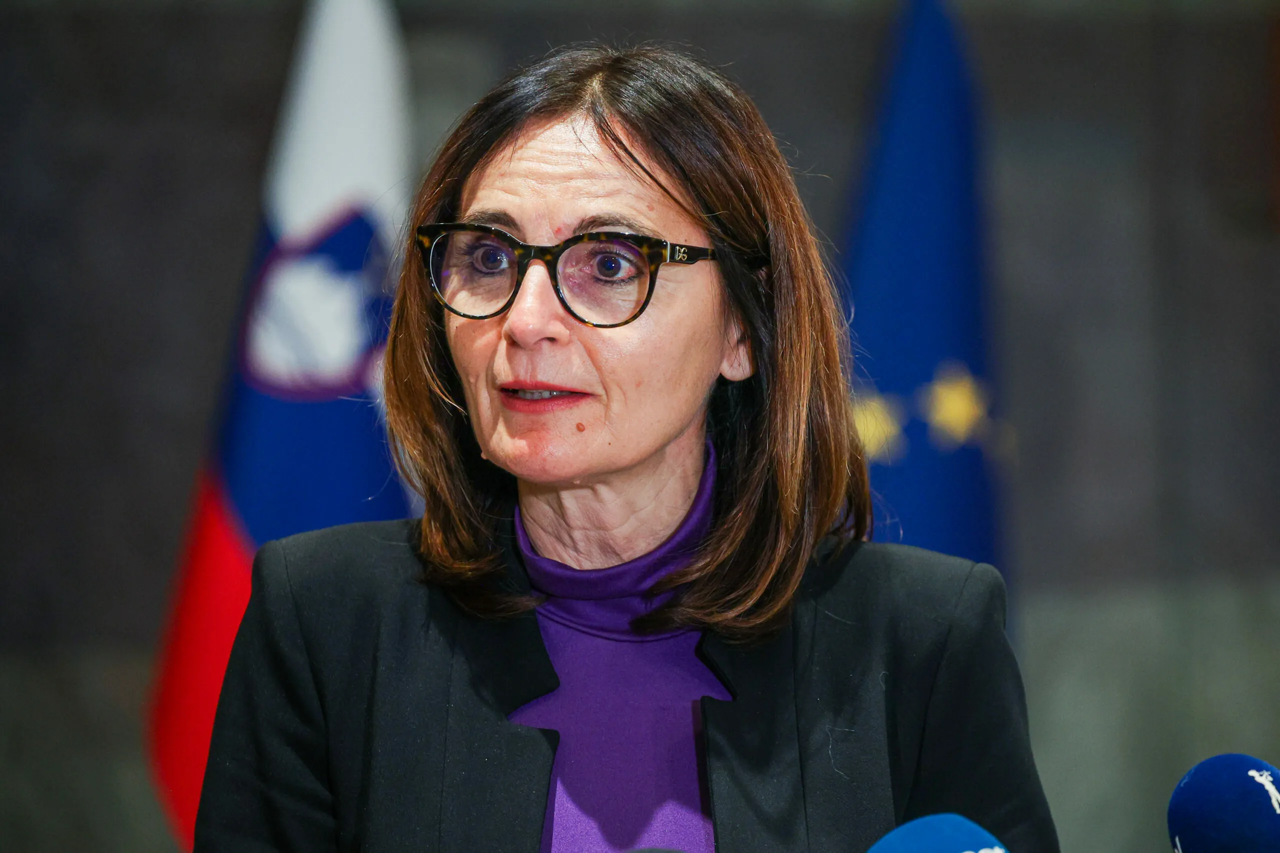 Slika članka