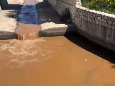 Slika članka