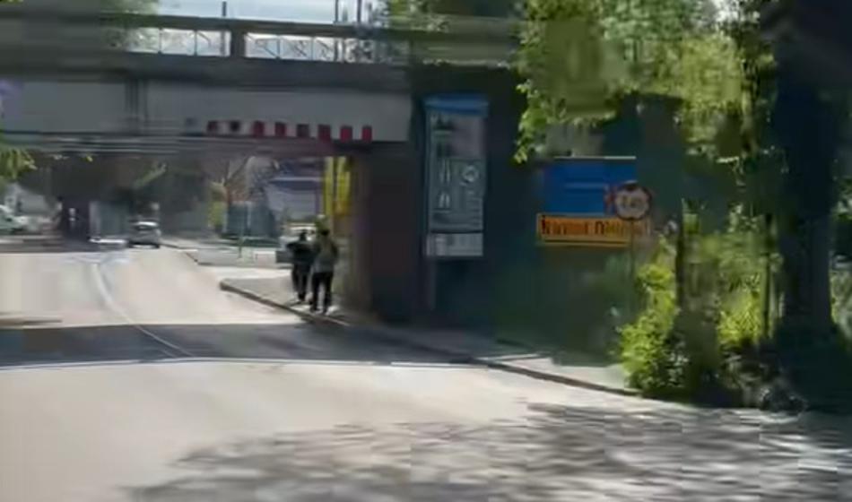 Slika članka
