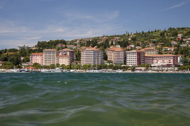 Slika članka