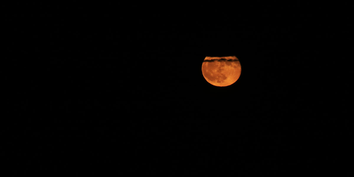 Slika članka