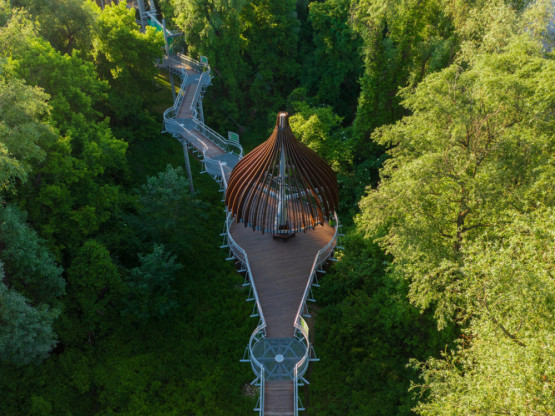 Slika članka