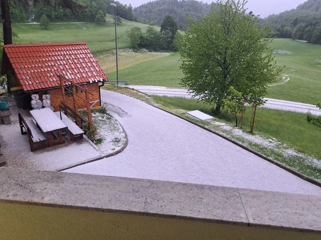 Slika članka