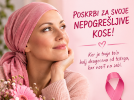 Slika članka