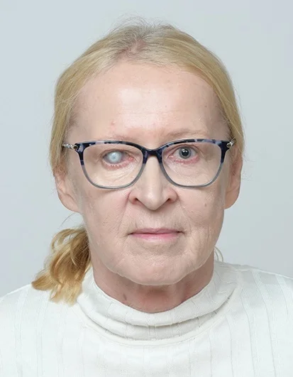 Slika članka