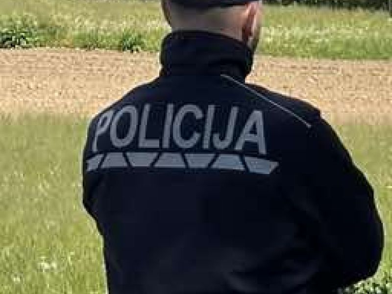 Slika članka