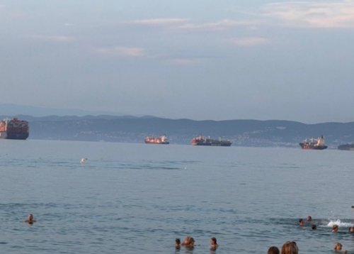 Slika članka