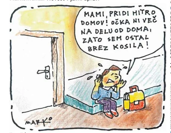 Slika članka