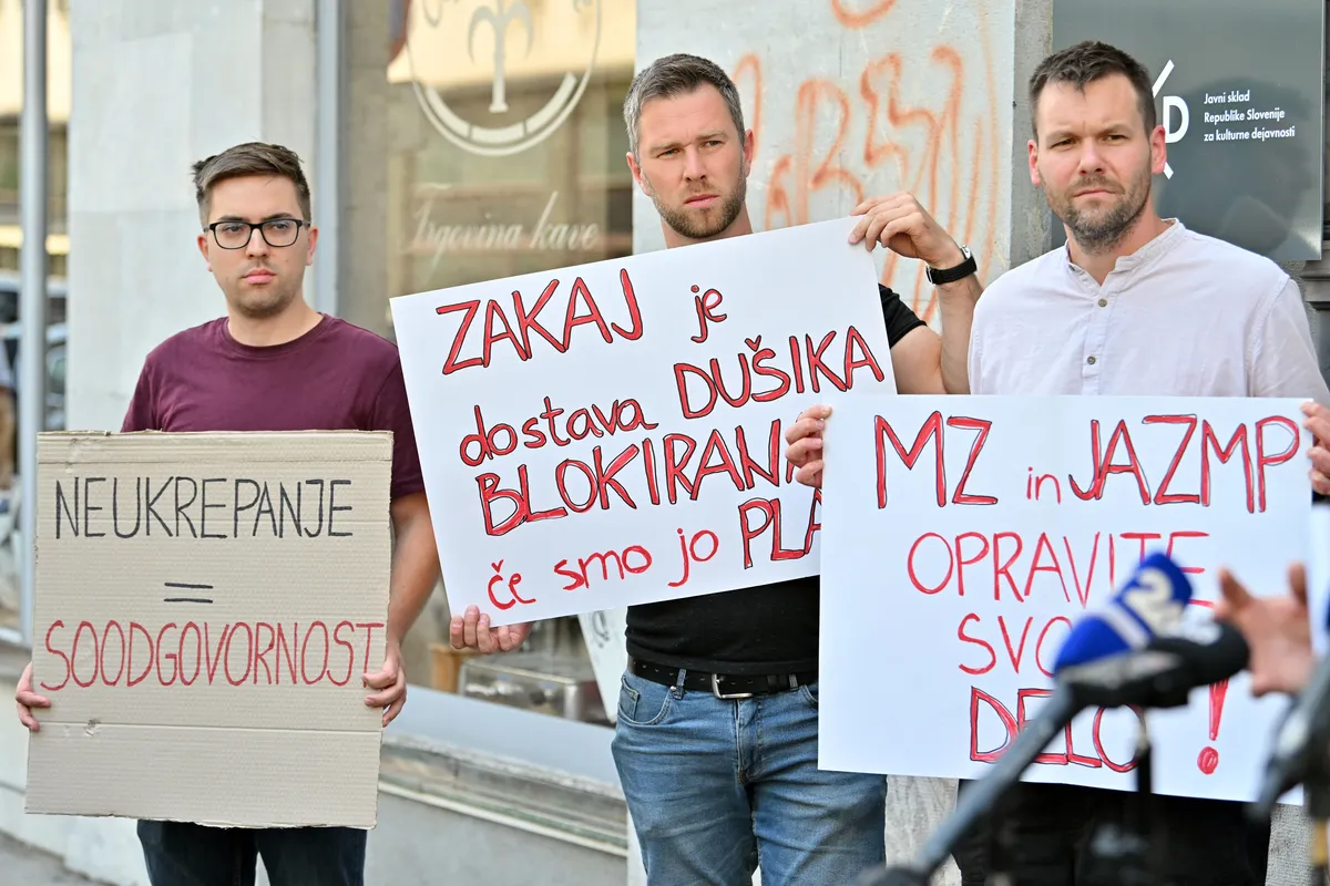 Slika članka