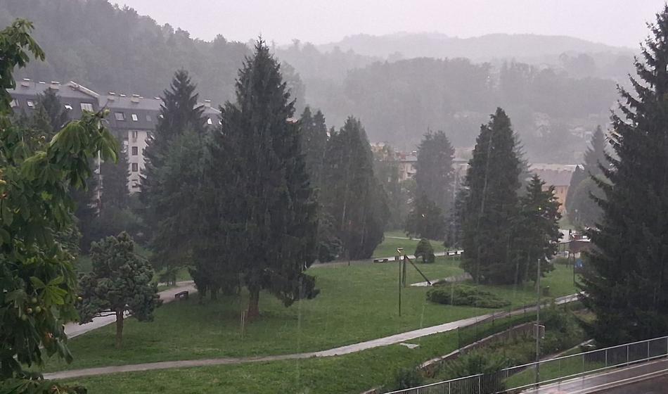 Slika članka