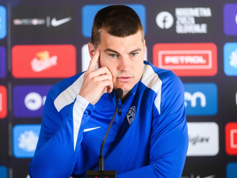 Slika članka