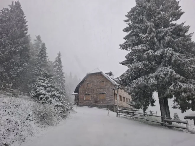 Slika članka