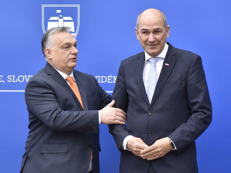 Slika članka