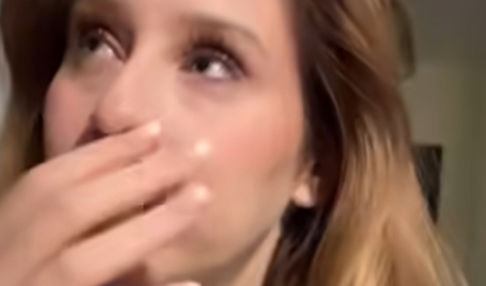 Slika članka