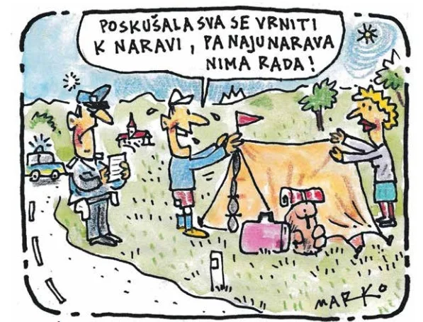 Slika članka