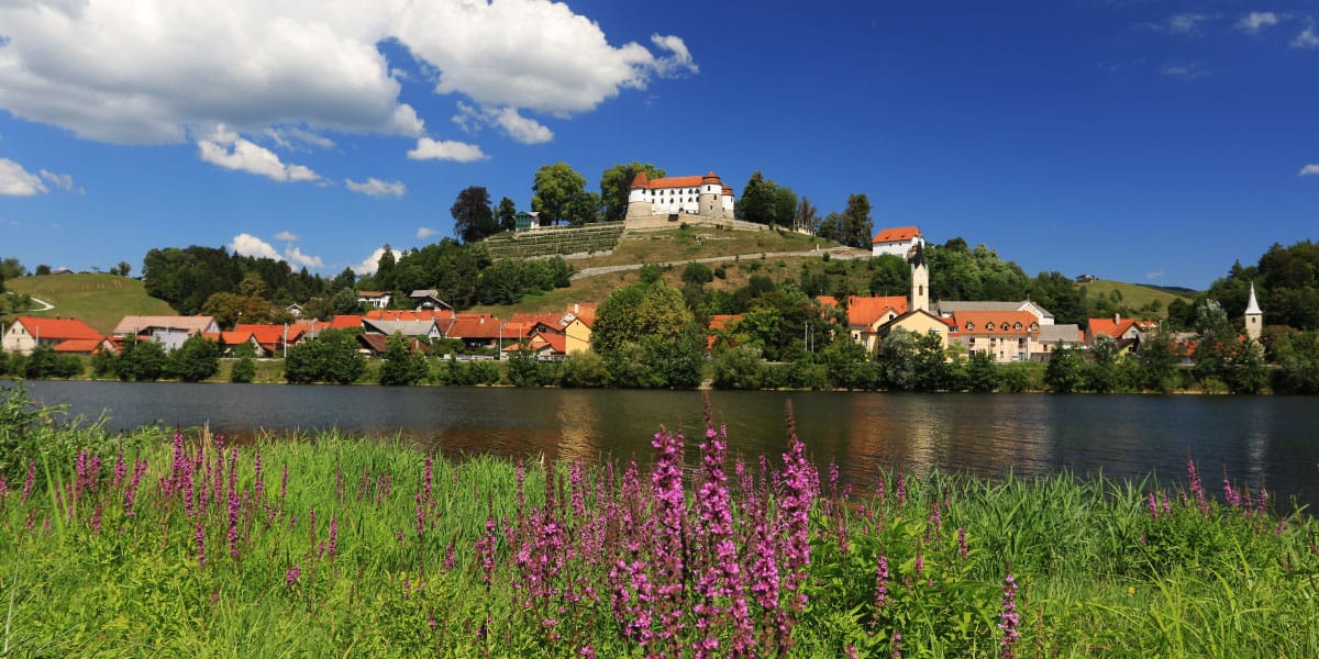 Slika članka