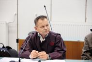 Slika članka