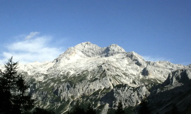 Slika članka
