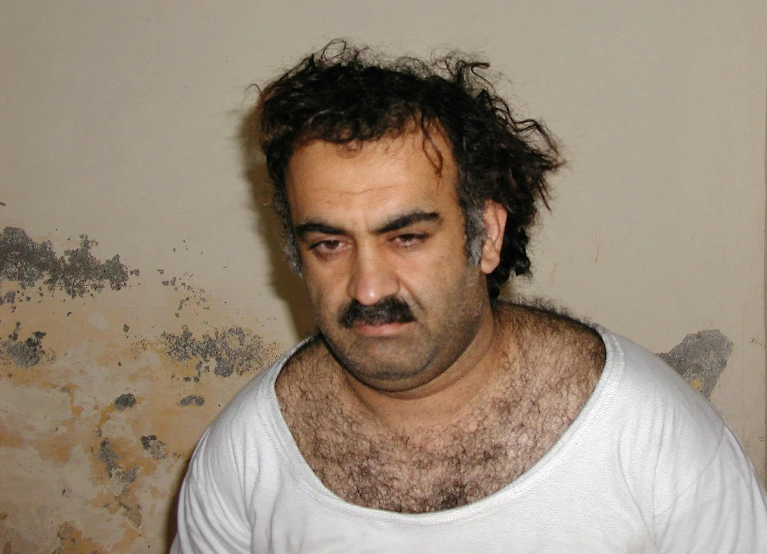 Slika članka