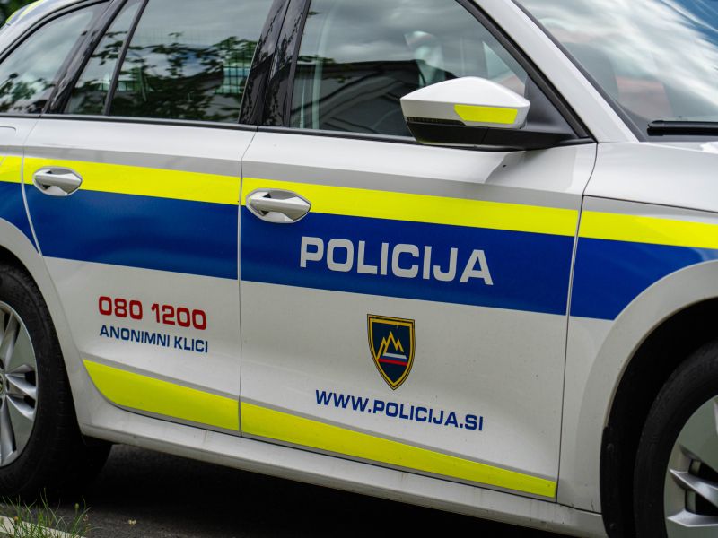 Slika članka