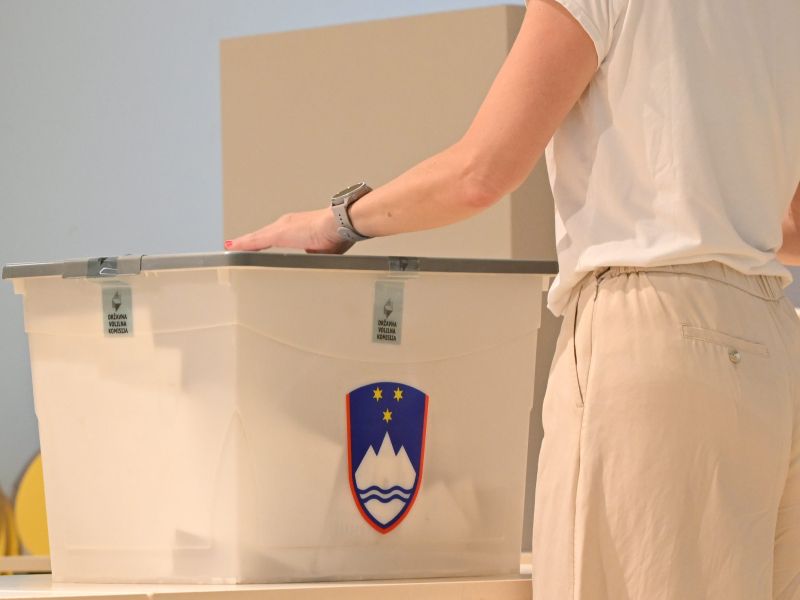 Slika članka