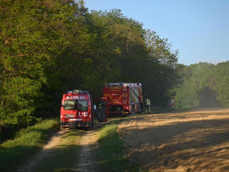 Slika članka