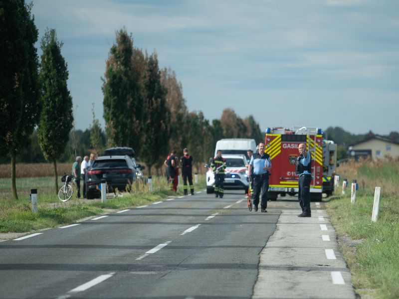Slika članka