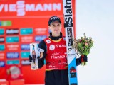 Slika članka