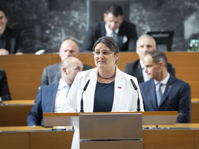 Slika članka
