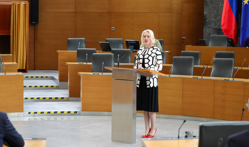 Slika članka
