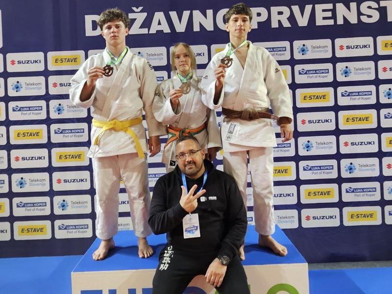 Slika članka