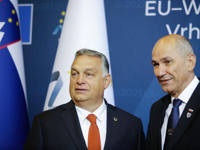 Slika članka