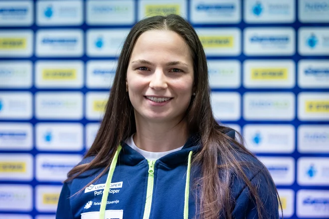 Slika članka