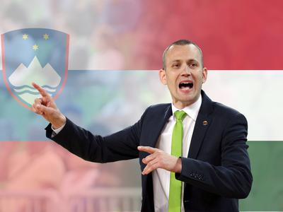 Slika članka