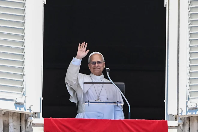 Slika članka