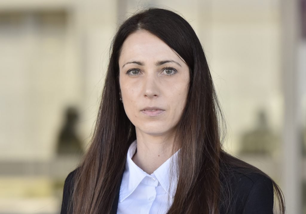 Slika članka