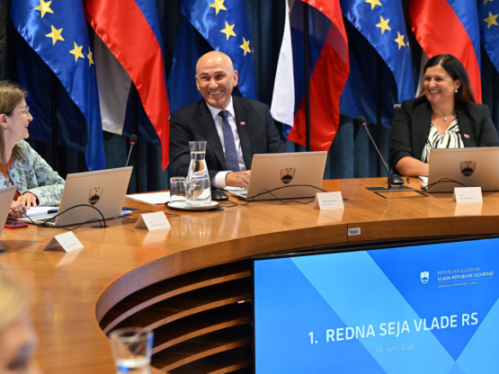 Slika članka