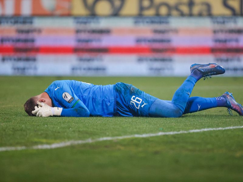 Slika članka