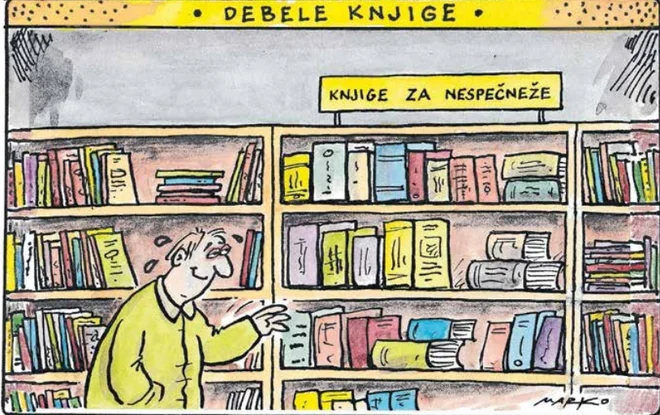 Slika članka