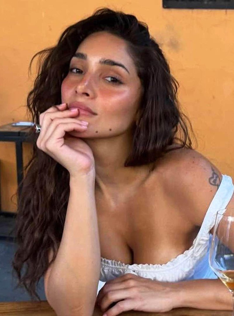 Slika članka