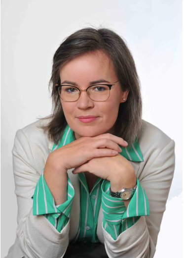 Slika članka