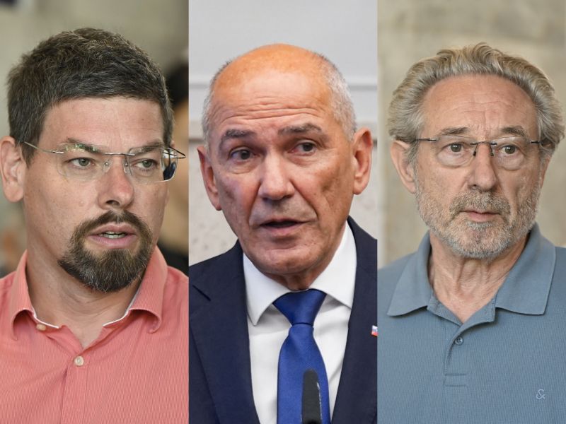 Slika članka