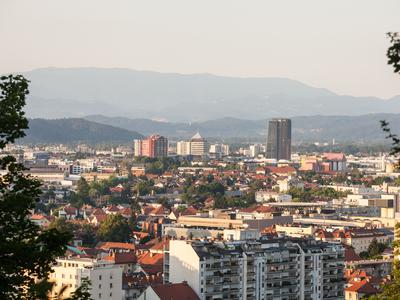 Slika članka