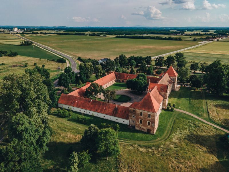 Slika članka